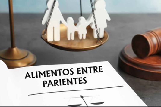 Alimentos entre parientes. Feliu Abogados