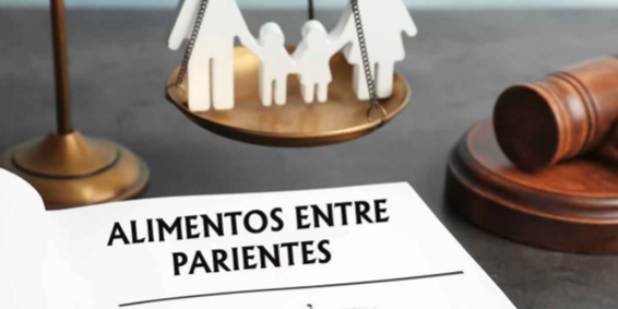 Alimentos entre parientes. Feliu Abogados
