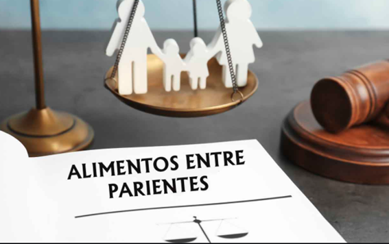 Alimentos entre parientes. Feliu Abogados